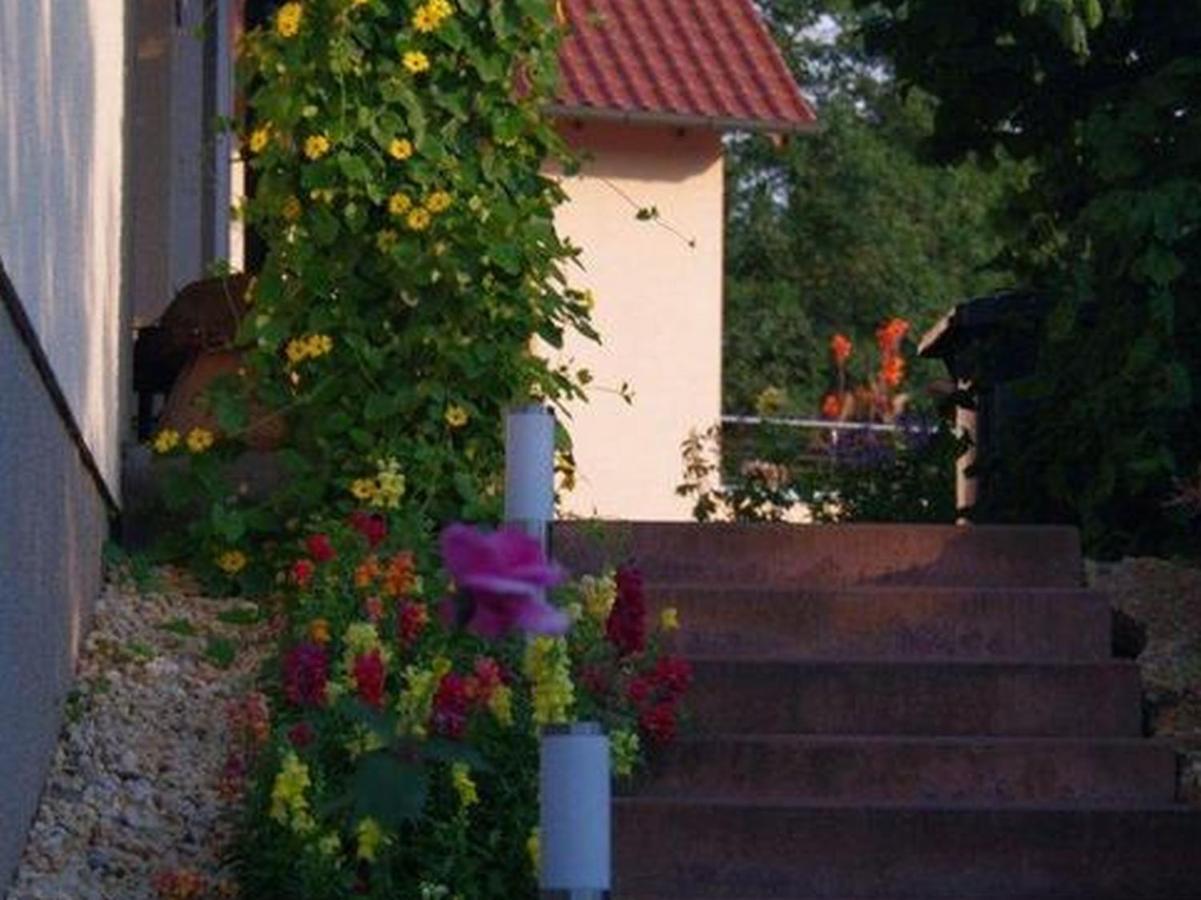 Apartmán Annettes Ferienstuebchen Bad Berka Exteriér fotografie